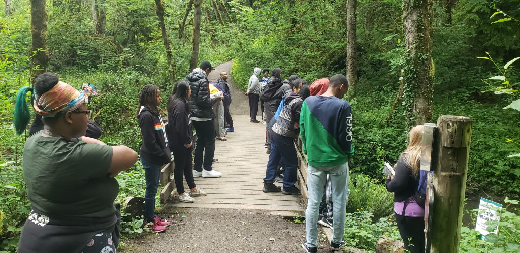 Young adult students in the park