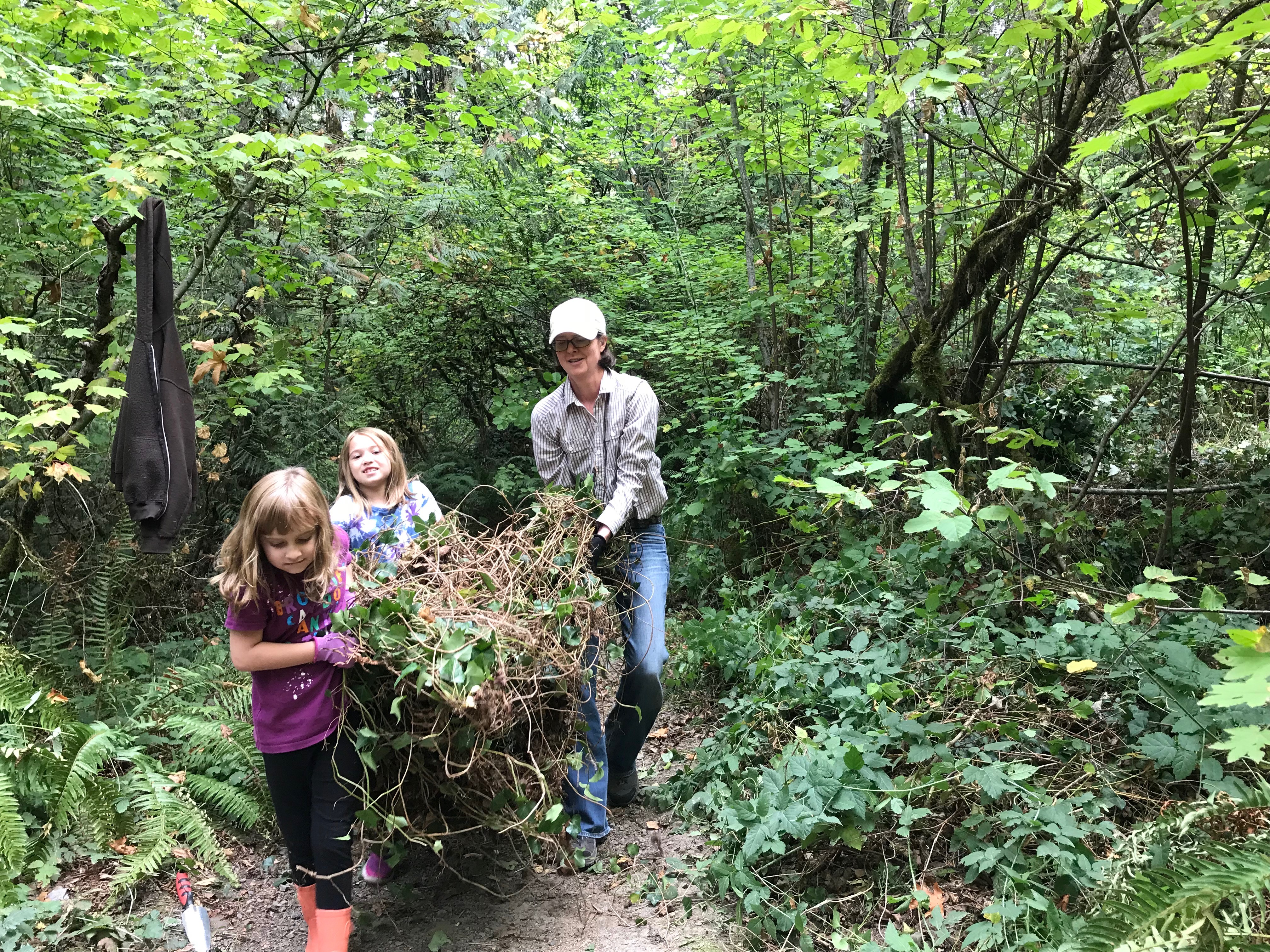 Volunteers pulling ivy