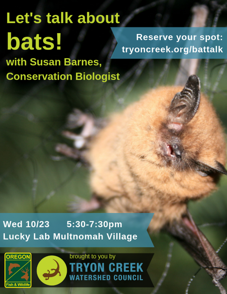 Let’s Talk About Bats! Tryon Creek Watershed Council