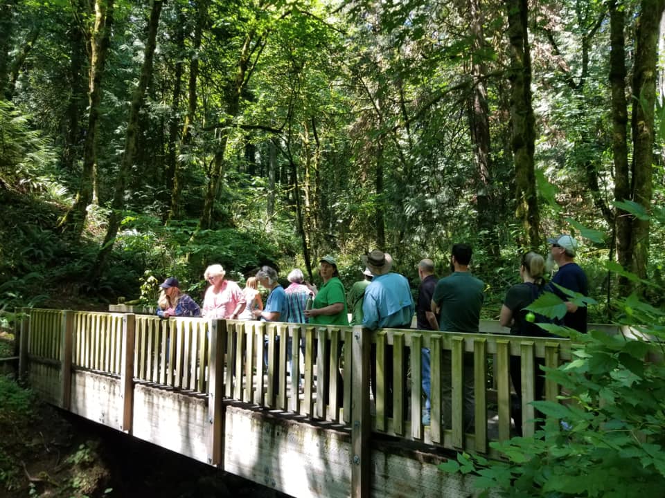 People standing on a bridge in Marshall Park