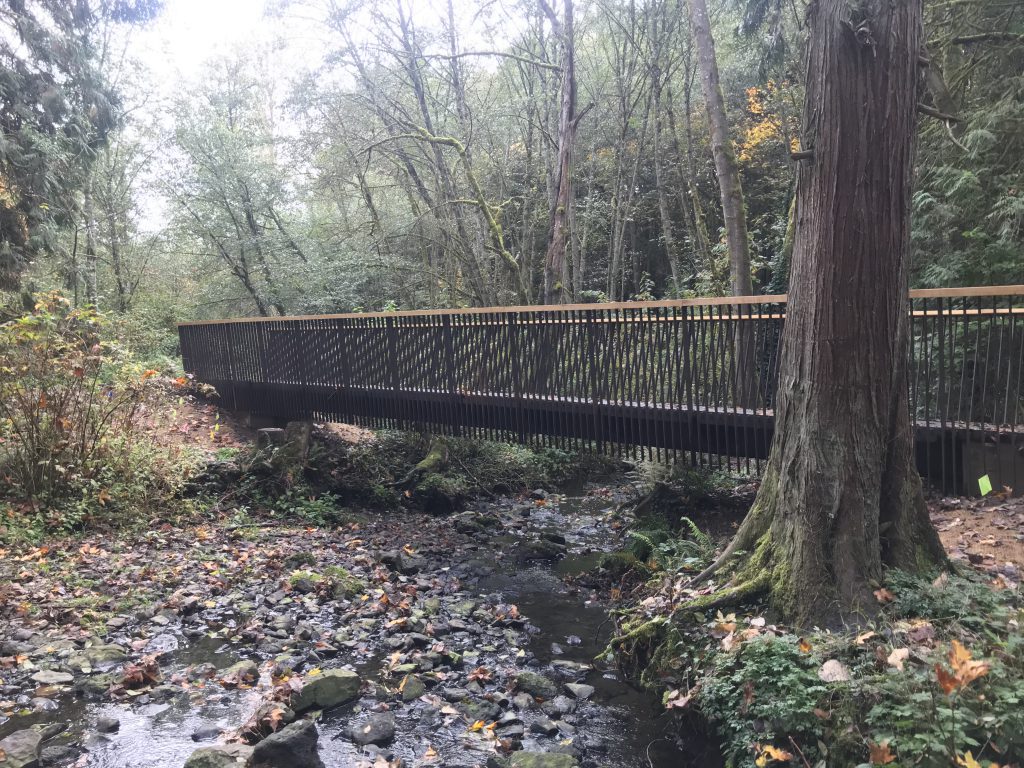 A new bridge crossing over a small creek in the forest