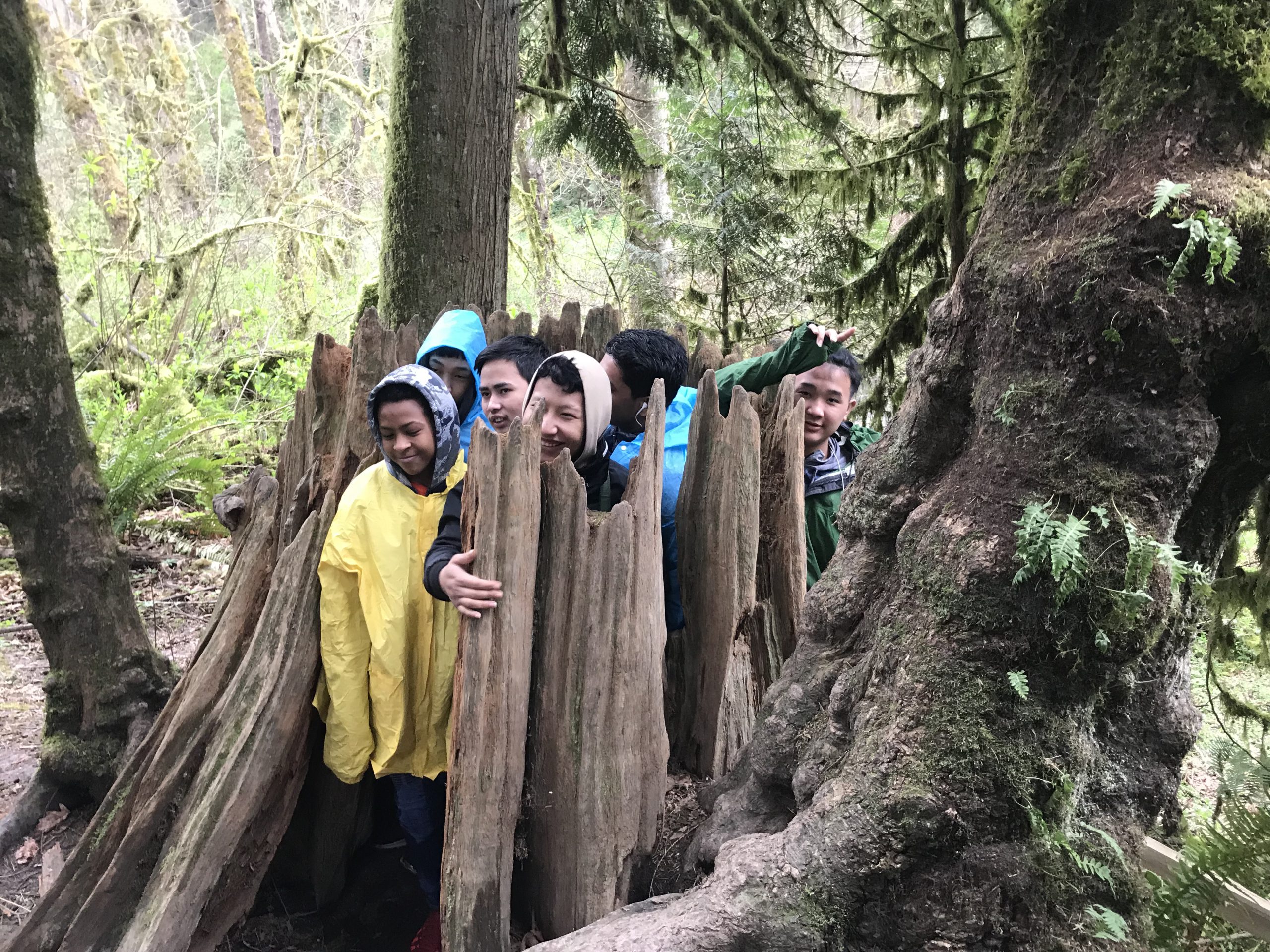 Kids standing inside a decayed tree stump in the forest