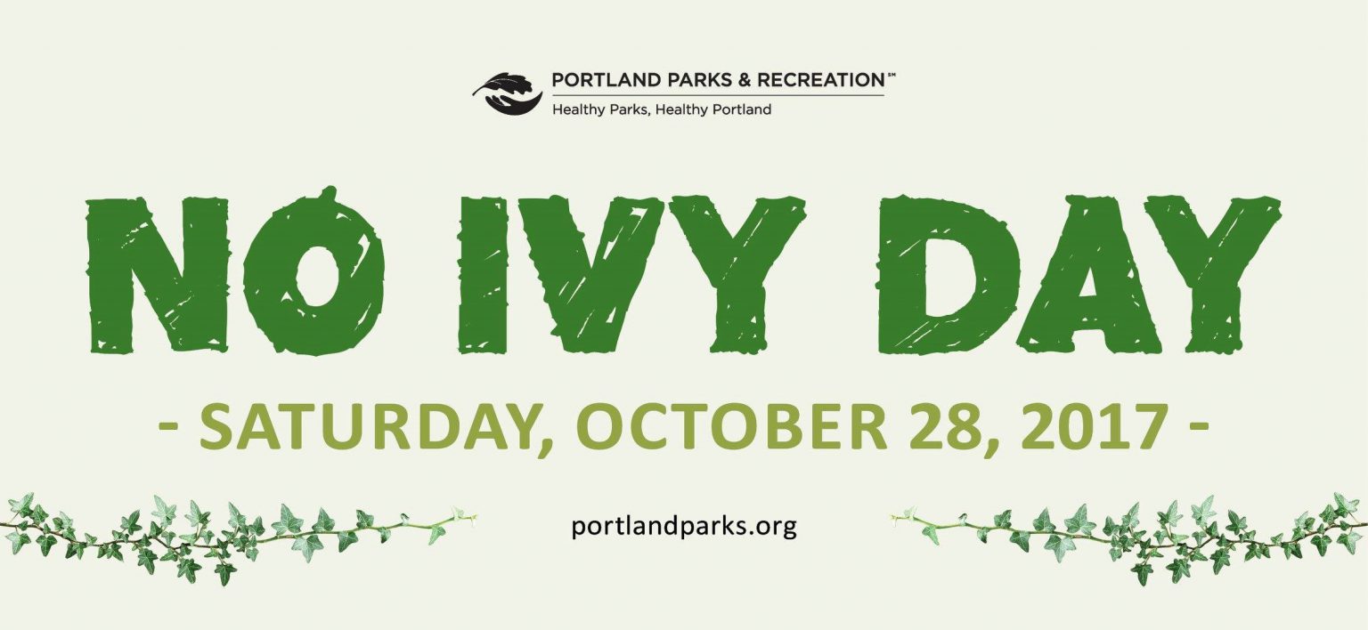 No Ivy Day with Tryon Creek Watershed Council and PCC Sylvania Habitat