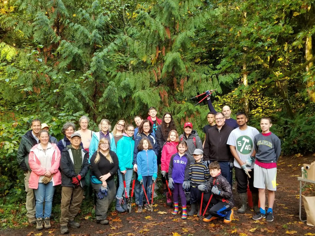 Large group of volunteers in the forest