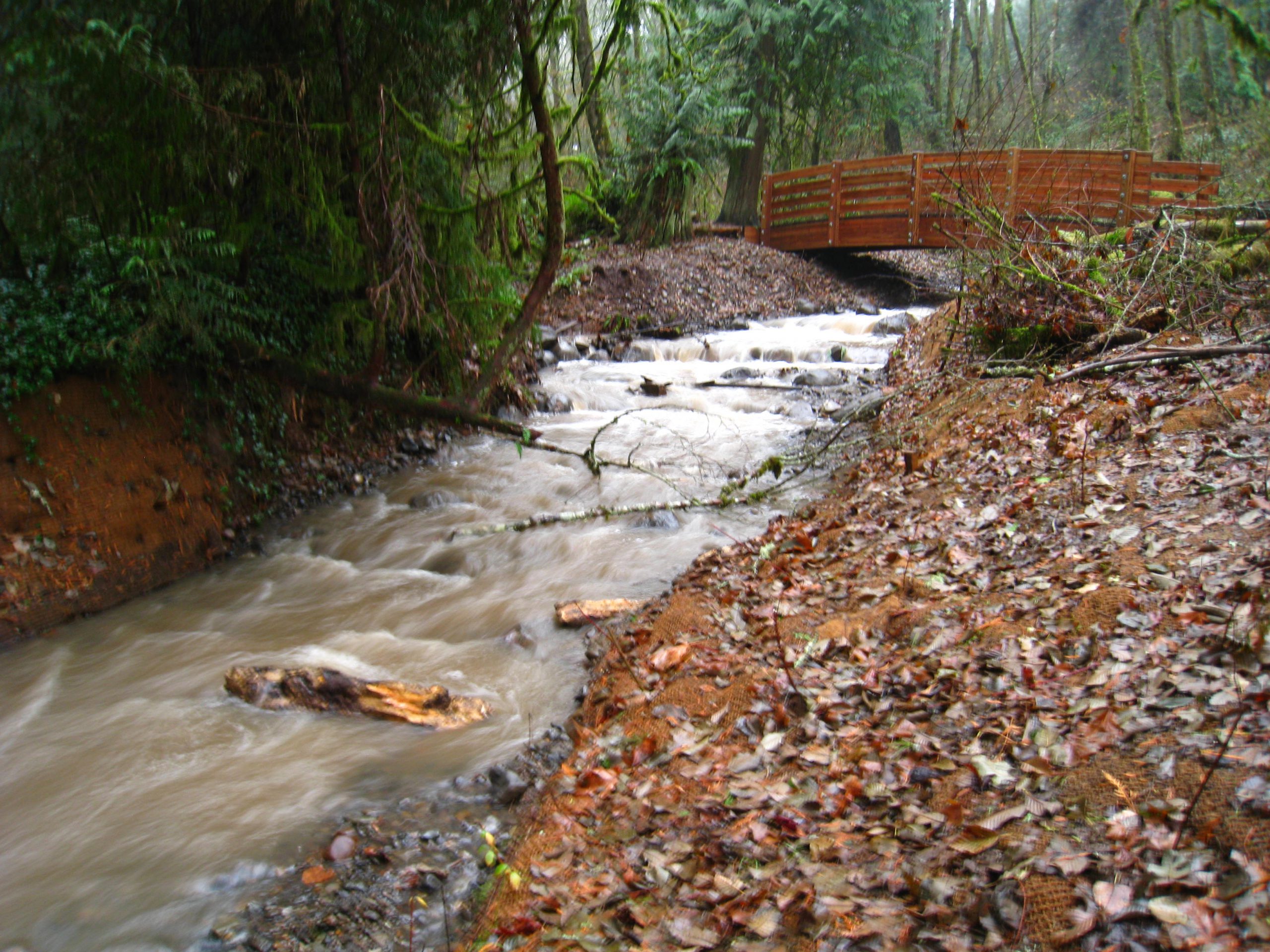 Bridge over Tryon Creek