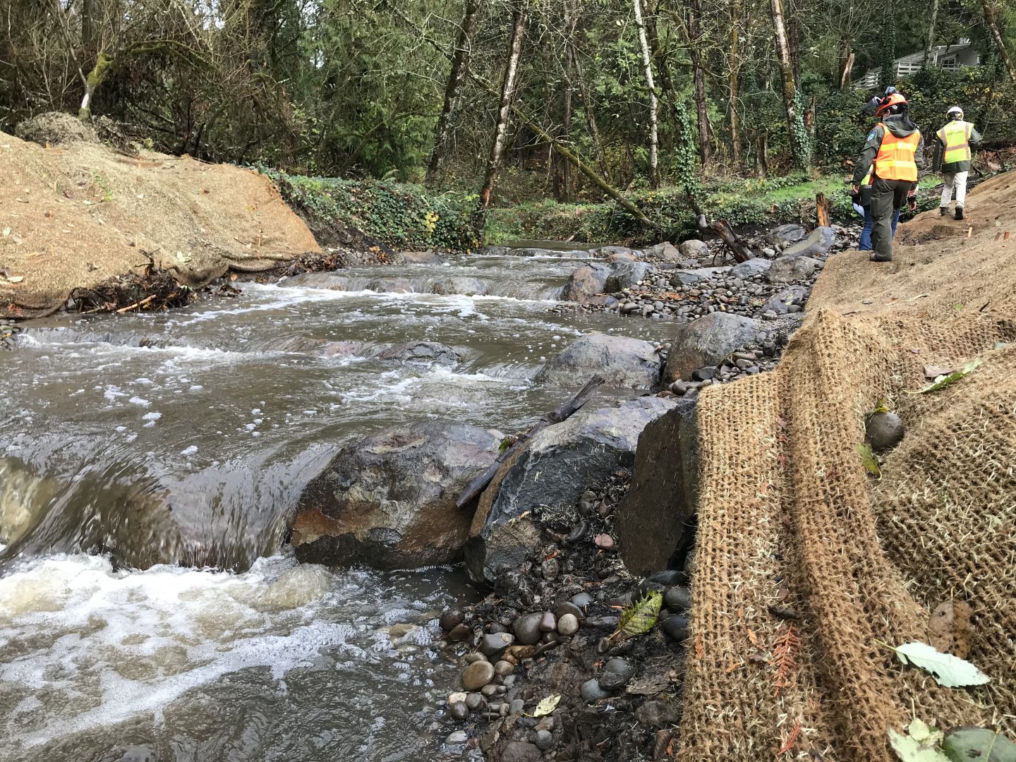 Fish Passage – Tryon Creek Watershed Council