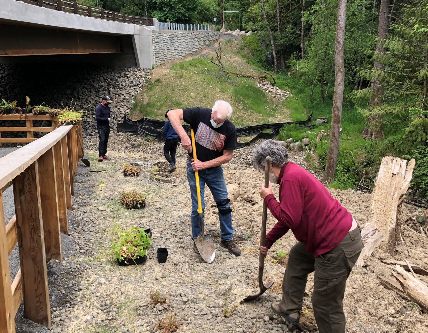 Fish Passage – Tryon Creek Watershed Council