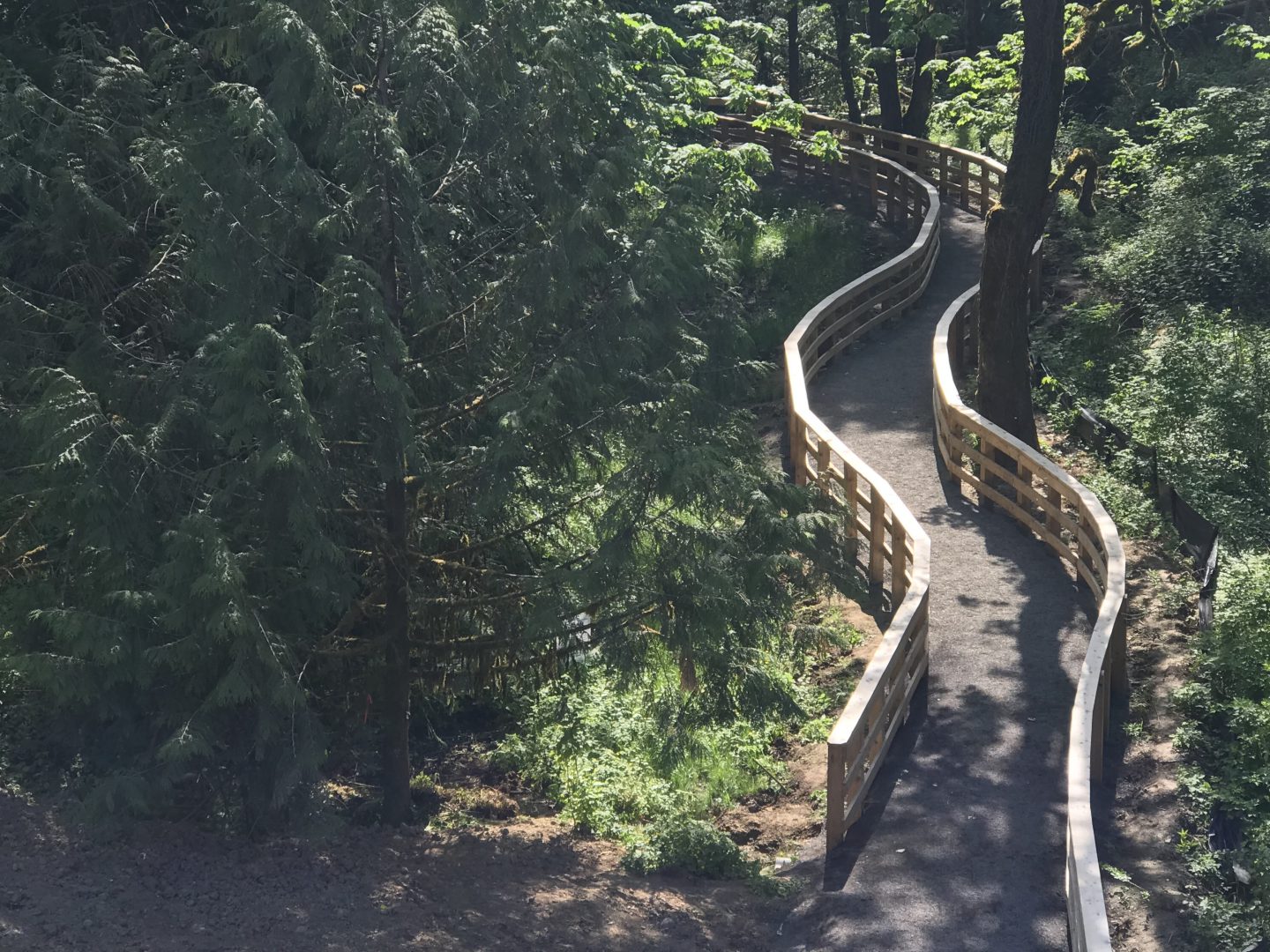 Fish Passage – Tryon Creek Watershed Council