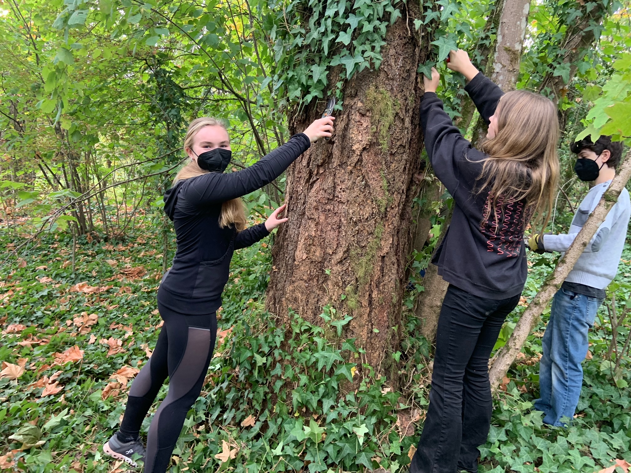 watershed-101-workshop-with-riverdale-grade-school-tryon-creek